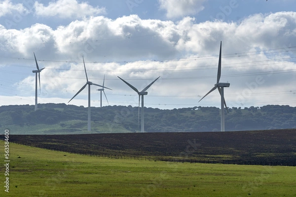 Obraz wind power station