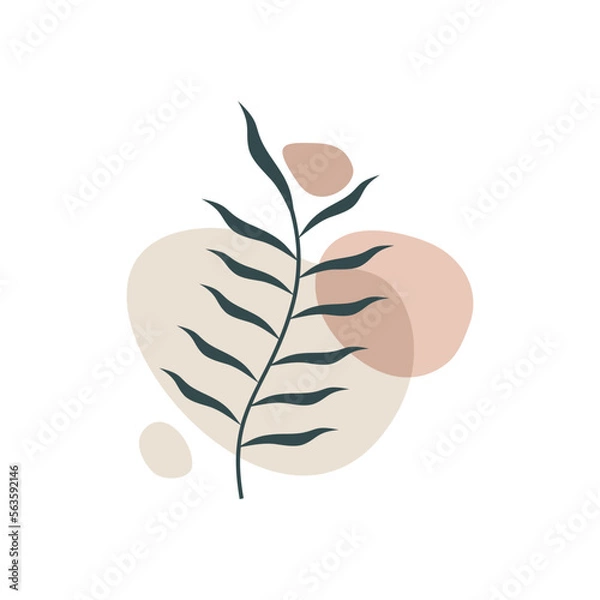 Fototapeta Aesthetic Boho Leaf