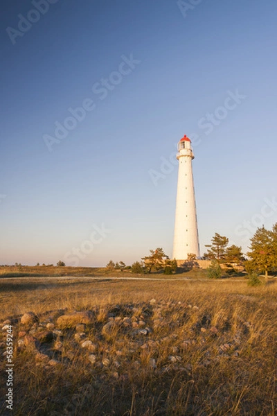 Fototapeta White lighthouse and stone labyrinth