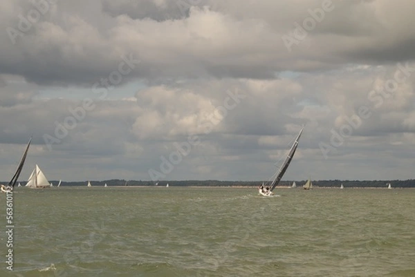 Obraz Saiiling on windy day