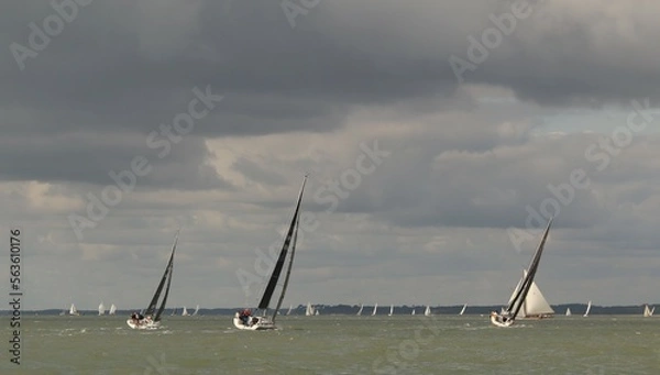 Obraz Saiiling on windy day