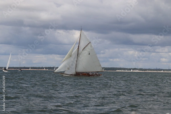 Fototapeta Saiiling on windy day