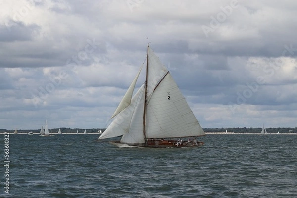 Obraz Saiiling on windy day