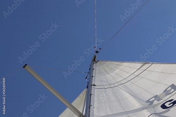 Obraz Saiiling on windy day