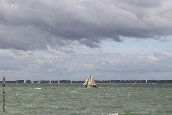 Obraz Saiiling on windy day