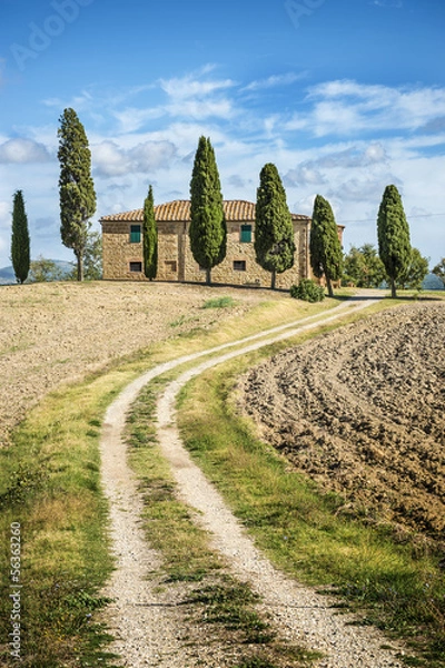 Fototapeta House with cypress in Tuscany