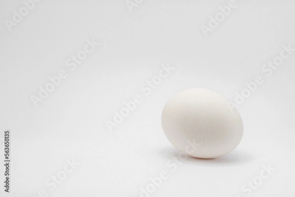 Fototapeta white egg isolated on white