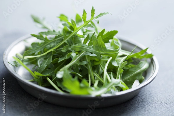Fototapeta fresh arugula