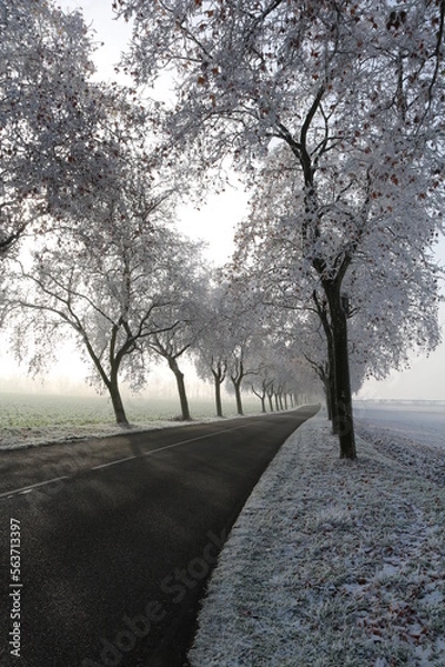 Obraz Route en hiver