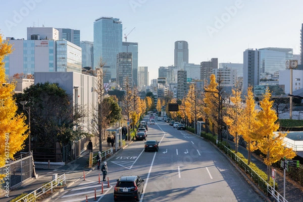 Obraz 代々木から渋谷方面を望む