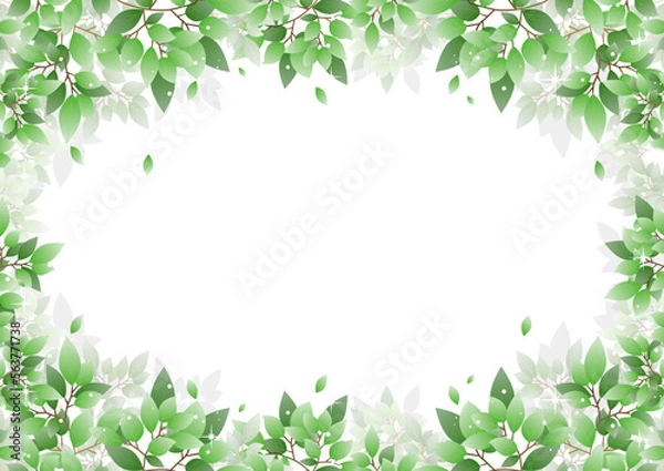 Fototapeta 美しい新緑の背景素材