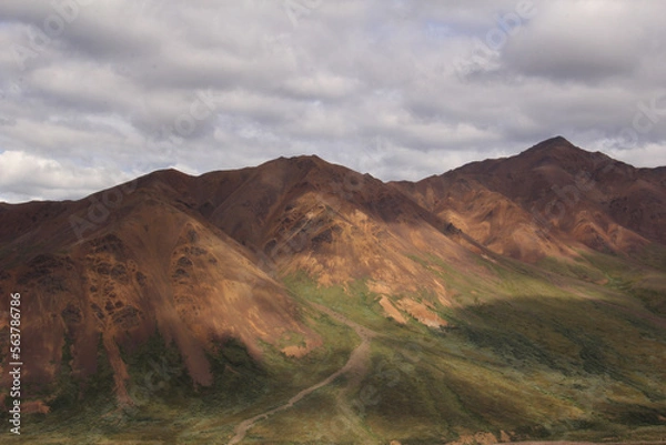 Obraz mountains in Denali National Park Alaska