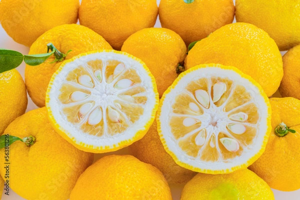 Obraz 半分にカットしたユズ