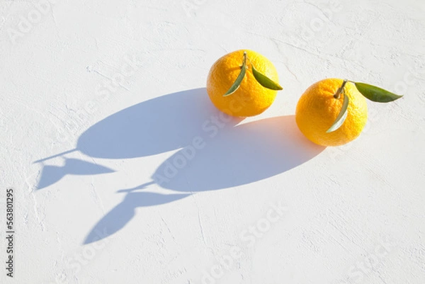 Obraz 真っ白な漆喰に置かれた柚子と影