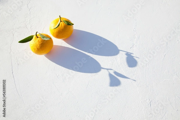 Obraz 真っ白な漆喰に置かれた柚子と影