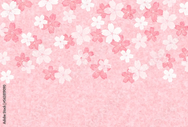 Fototapeta 桜　和柄　春　背景	