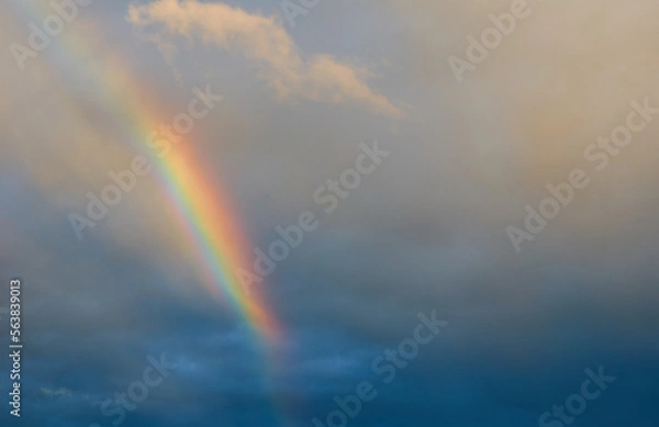 Fototapeta rainbow over the sky