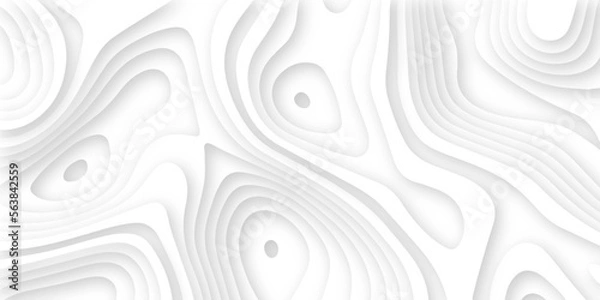 Fototapeta Abstract wavy line 3d paper cut white background. Topographic canyon geometric map relief texture with curved layers and shadow. Abstract realistic papercut decoration textured with wavy layers	
