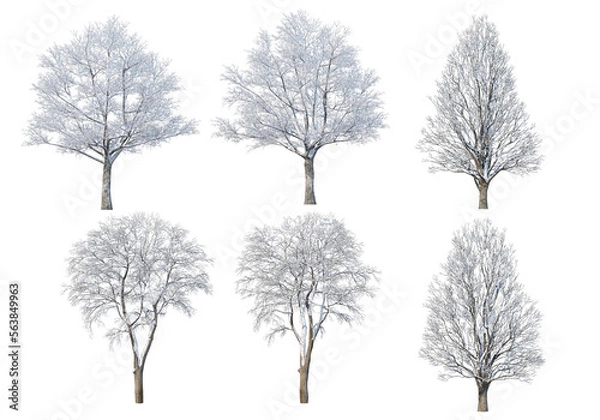 Obraz 3d render trees and mountains during winter
