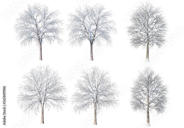 Fototapeta 3d render trees and mountains during winter