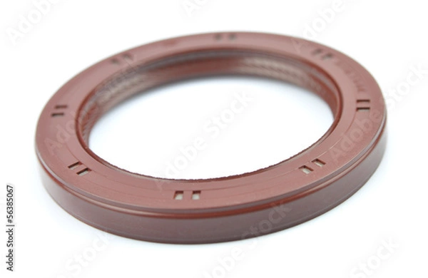 Obraz Oil seal