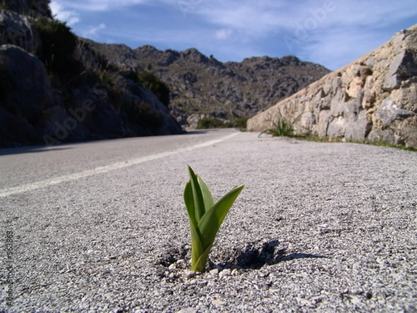 Fototapeta durchbruch