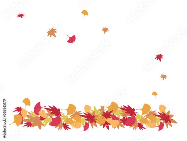 Fototapeta もみじとイチョウの紅葉した落ち葉のフレーム