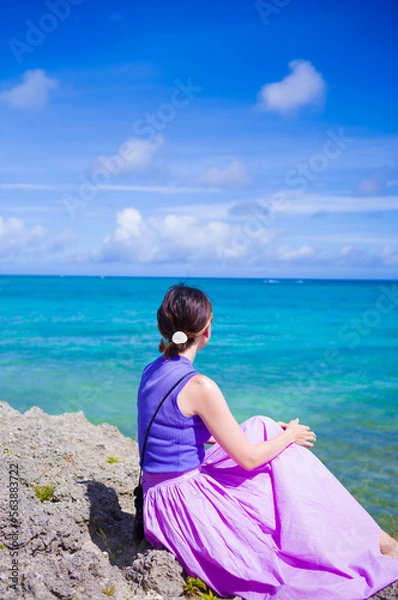 Obraz 沖縄 / 今帰仁村 / 赤墓ビーチ