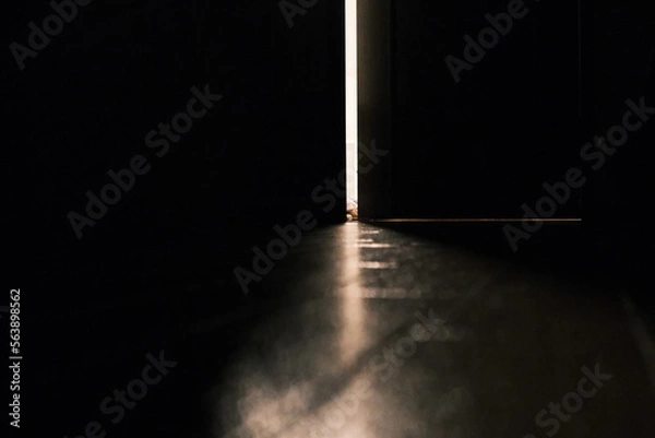 Fototapeta ドアの隙間
