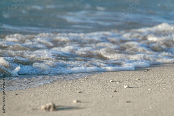 Obraz 波打ち際　海　砂浜