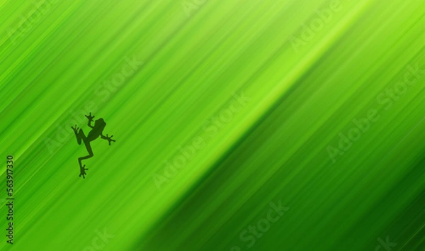Obraz green background with leaves