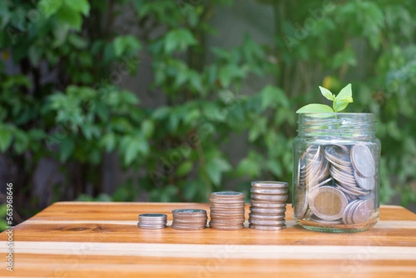 Fototapeta coin growing up with little sprout on top of the jar , concept of money saving, banking and investment, with wooden table and green natural background