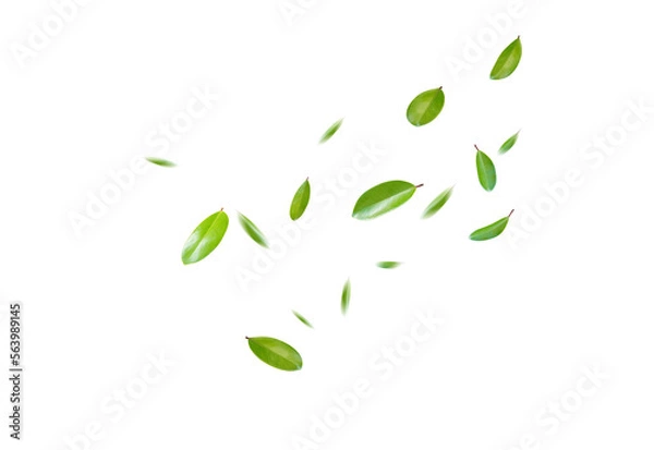 Fototapeta Green Floating Leaves Flying Leaves Green Leaf Dancing, Air Purifier Atmosphere Simple Main Picture.