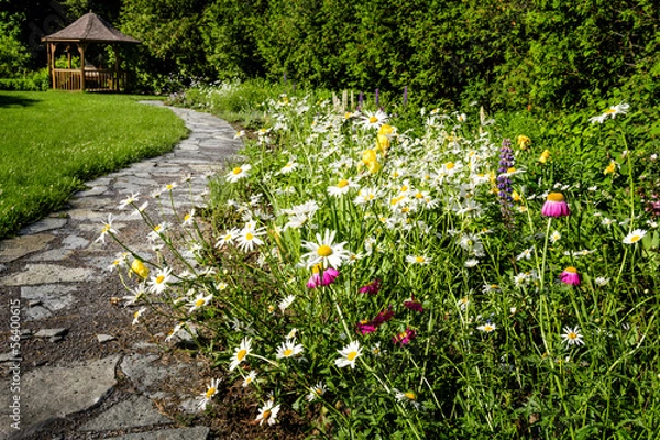 Fototapeta Wildflower garden and path to gazebo