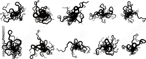 Fototapeta Set of  vector tangle of tentacles - vector design of decorative plexus templates kit
