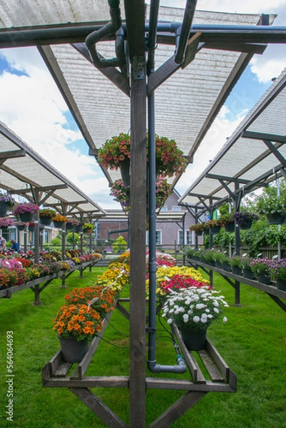 Obraz greenhouse with flowers