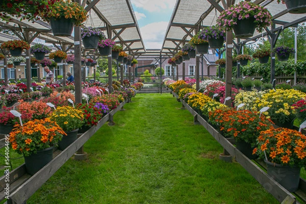 Obraz greenhouse with flowers