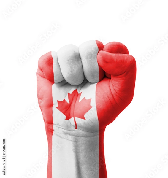 Fototapeta Fist of Canada flag painted, multi purpose concept