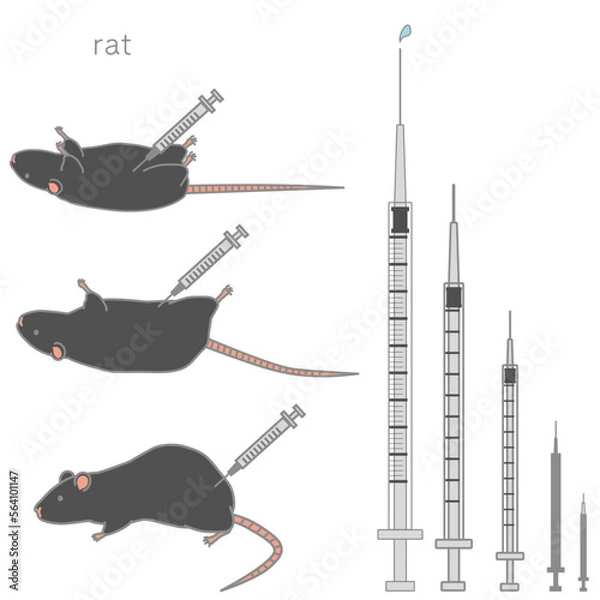 Fototapeta 様々な大きさの注射器＆注射されている黒いラットのベクターイラストセット
