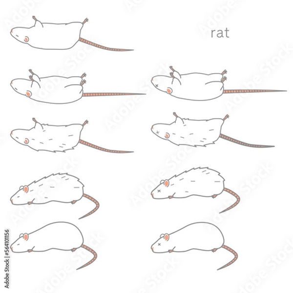 Fototapeta 体調の悪いラットのベクターイラストセット
