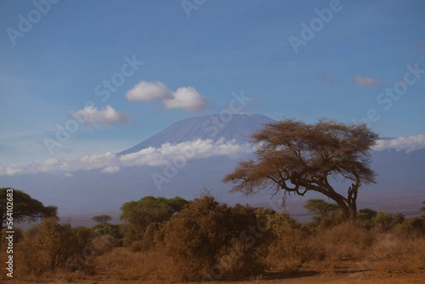 Obraz Kilimanjaro