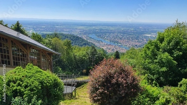 Obraz Drzewa,krajobraz