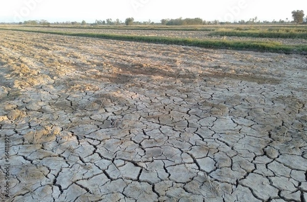 Fototapeta plowed field in autumn
