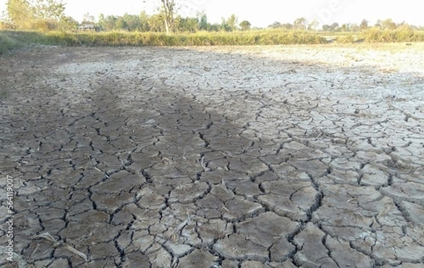 Fototapeta dry cracked earth