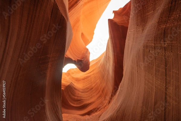 Fototapeta 砂岩に囲まれた渓谷