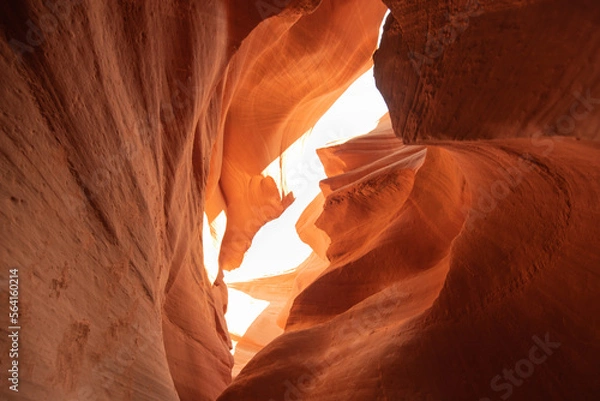 Fototapeta 砂岩に囲まれた渓谷