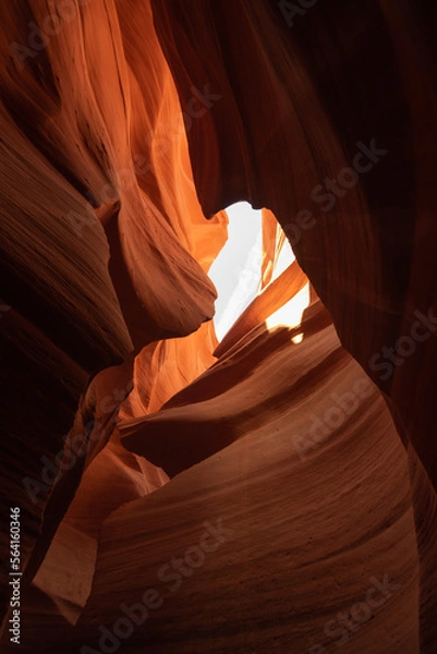 Fototapeta 砂岩に囲まれた渓谷