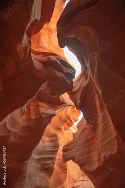 Obraz 砂岩に囲まれた渓谷