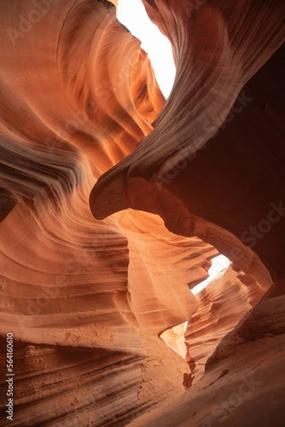 Obraz 砂岩に囲まれた渓谷