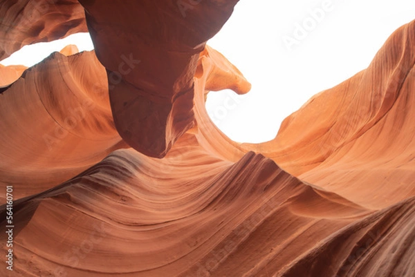 Fototapeta 砂岩に囲まれた渓谷